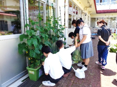 画像5