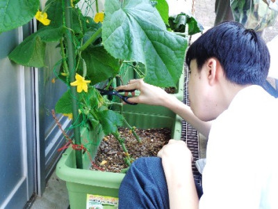 画像6